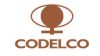 Logo Codelco cliente DGI Solutions mineria